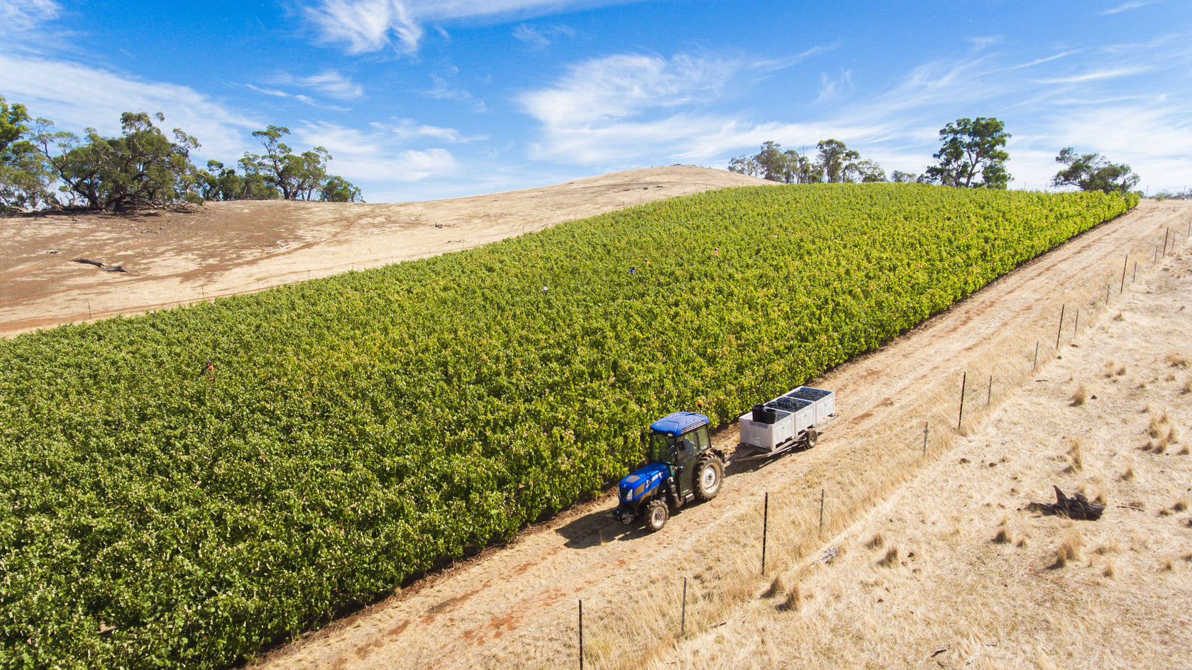 Tellurian Wines Heathcote, Cellar Door, Australian Winemaker, Online Store