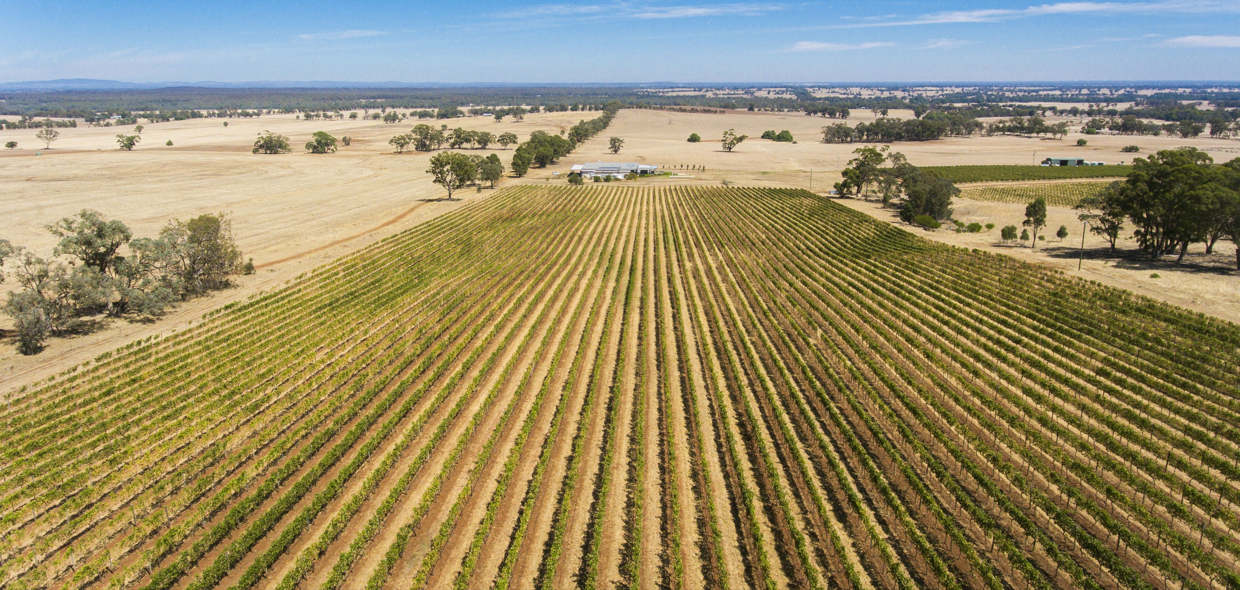 Tellurian Wines